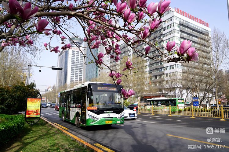 邯鄲公交車長的暖心舉動 為城市文明再添溫暖