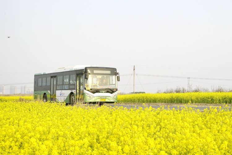 邯鄲公交：路遇三輪車側(cè)翻 車長飛奔下車救助